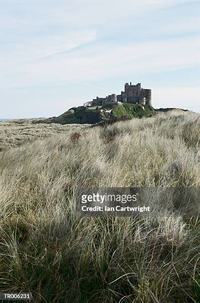 bamburgh castle ruins and grass - bamburgh stock pictures, royalty-free photos & images
