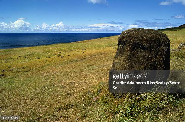 moai stone head - norwegian royal family attends the unveiling of a statue of king olav v in oslo stockfoto's en -beelden