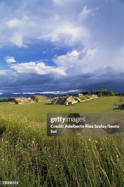 monte alban - monte stock pictures, royalty-free photos & images