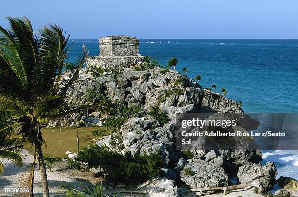 tulum - latin american civilizations 個照片及圖片檔