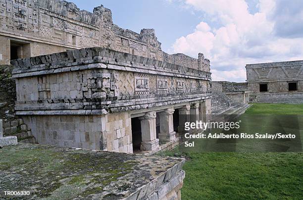uxmal - latin american civilizations stock pictures, royalty-free photos & images