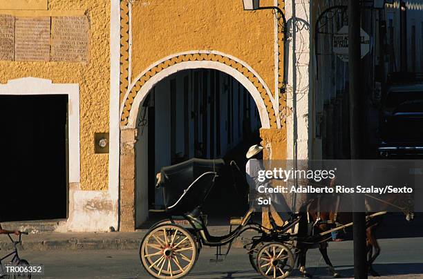 horse and carriage - animale da lavoro foto e immagini stock