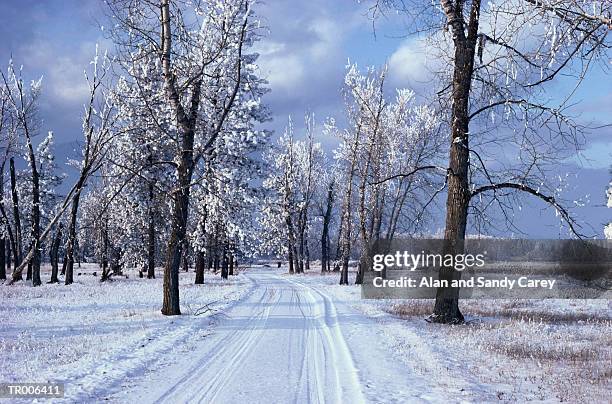 usa, montana, rural road coved in snow, winter - usa imagens e fotografias de stock
