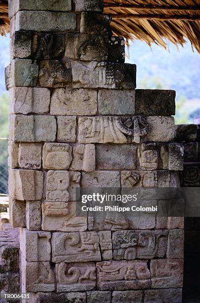 copan ruins - latin american civilizations stock pictures, royalty-free photos & images