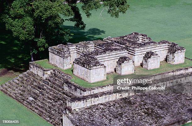 aerial of copan ruins - latin american civilizations stock pictures, royalty-free photos & images