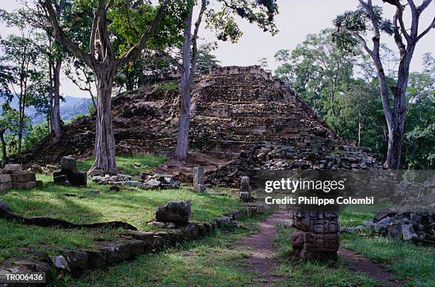 ruins of copan - latin american civilizations stock pictures, royalty-free photos & images