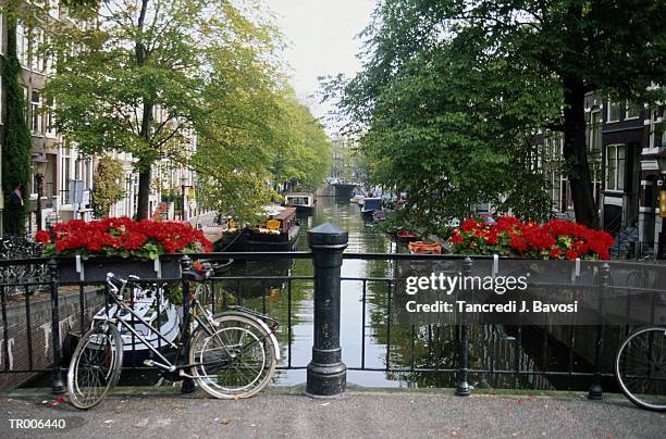 canal in amsterdam - bavosi ストックフォトと画像