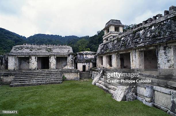 ruins at palenque, mexico - history of football preview screening by tv channel history and sky in munich stockfoto's en -beelden