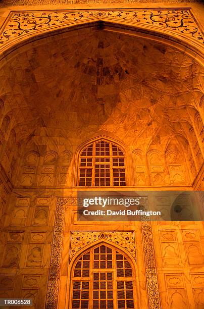 detail of taj mahal - american friends of magen david adom host third annual red star ball arrivals stockfoto's en -beelden