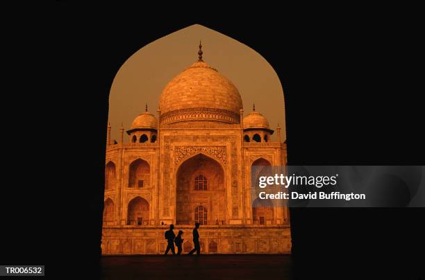 taj mahal - profile shoot of uttar pradesh shia central waqf board chairman sayeed wasim rizvi stockfoto's en -beelden