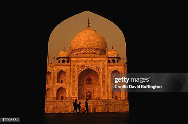 taj mahal - david dome stock pictures, royalty-free photos & images