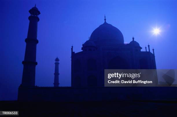 taj mahal silhouette - american friends of magen david adom host third annual red star ball arrivals stockfoto's en -beelden