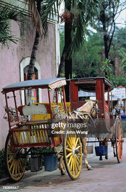 horse carriage in manila - working animals stock pictures, royalty-free photos & images