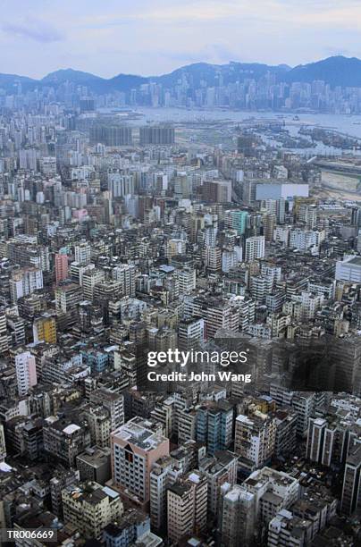 aerial view of hong kong - hong kong stockfoto's en -beelden