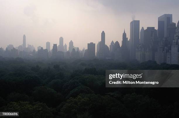 new york skyline - gen colin powell announces major gift to the city college of new york may 3 stockfoto's en -beelden