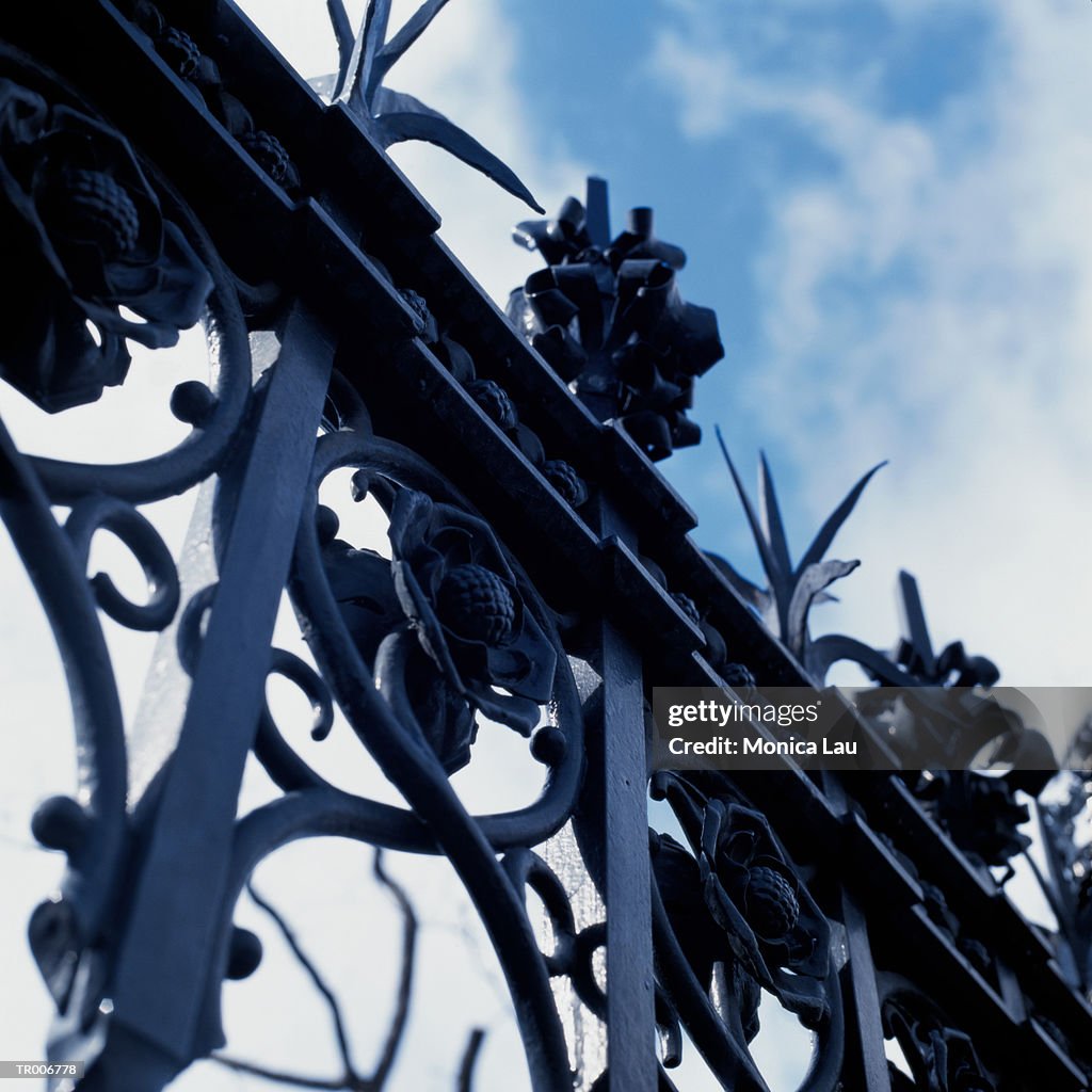 Gate of Houses of Parliament