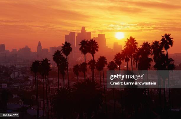 usa, california, los angeles skyline, sunset - usa imagens e fotografias de stock