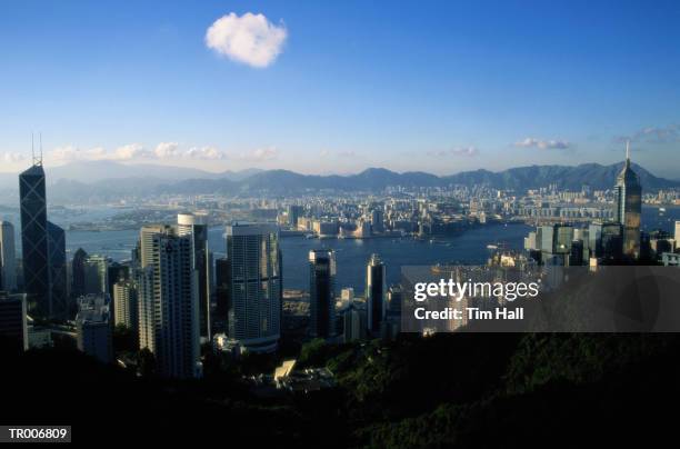 cityscape of hong kong - german foreign minister gabriel meets foreign minister of china stockfoto's en -beelden