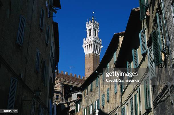 the tower del mangia - torre del mangia stock pictures, royalty-free photos & images