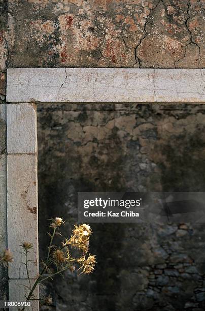 detail of greek ruins - zentralgriechenland stock-fotos und bilder