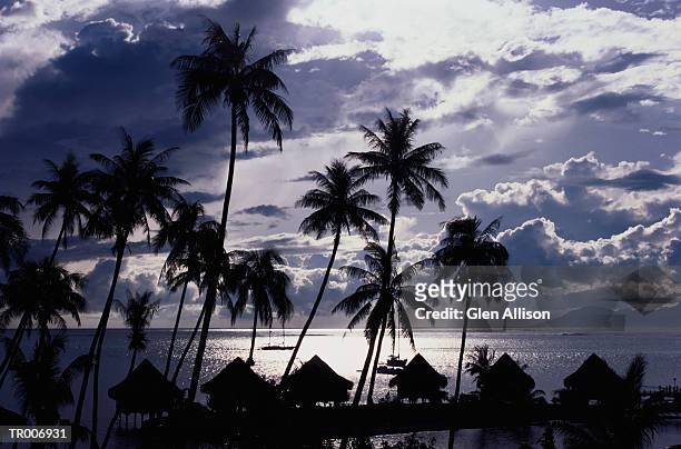 hotel bungalows in tahiti - society islands stock pictures, royalty-free photos & images