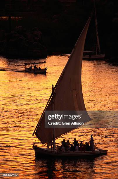 felucca on the nile - allison stock pictures, royalty-free photos & images