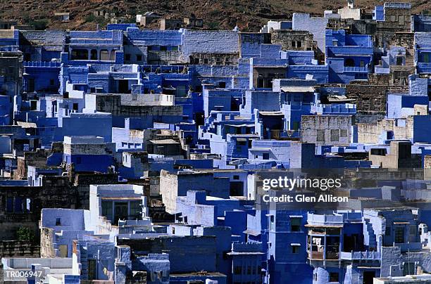 houses in jodhpur, india - allison stock pictures, royalty-free photos & images