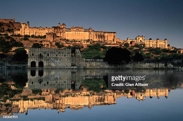 amber fort near jaipur, india - allison stock pictures, royalty-free photos & images