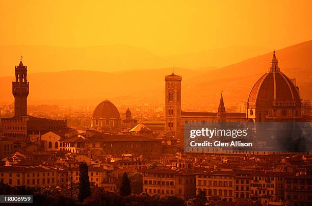 florence, italy - allison stock pictures, royalty-free photos & images