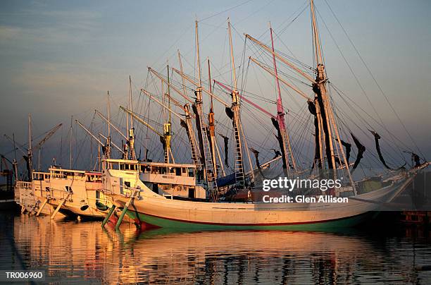 schooners in indonesia - allison stock pictures, royalty-free photos & images