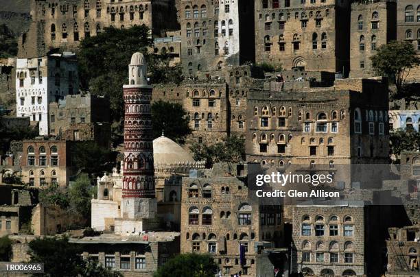 jibla, yemen - allison stock pictures, royalty-free photos & images