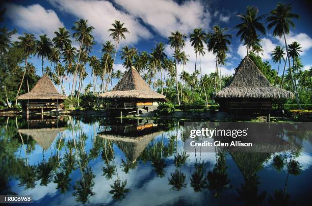 hotel in moorea, french polynesia - windward islands stockfoto's en -beelden