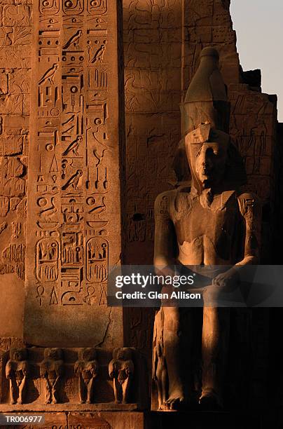 statue of ramses ii in luxor, egypt - ii stock pictures, royalty-free photos & images