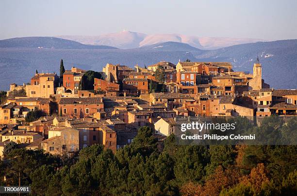 roussillon, france - french far right national front president marine le pen delivers a speech after the results of france regional elections stockfoto's en -beelden