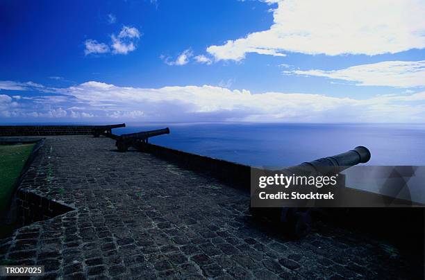 cannon at the brimstone hill fortress - lesser antilles stock pictures, royalty-free photos & images