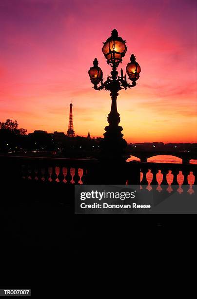 paris silhouette - french far right national front president marine le pen delivers a speech after the results of france regional elections stockfoto's en -beelden