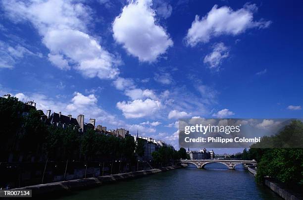bridge over seine river in paris, france - france foto e immagini stock