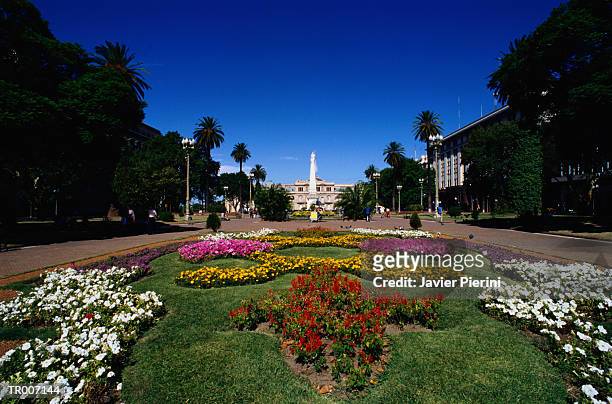 plaza de mayo, buenos aires - buenos aires province stock pictures, royalty-free photos & images