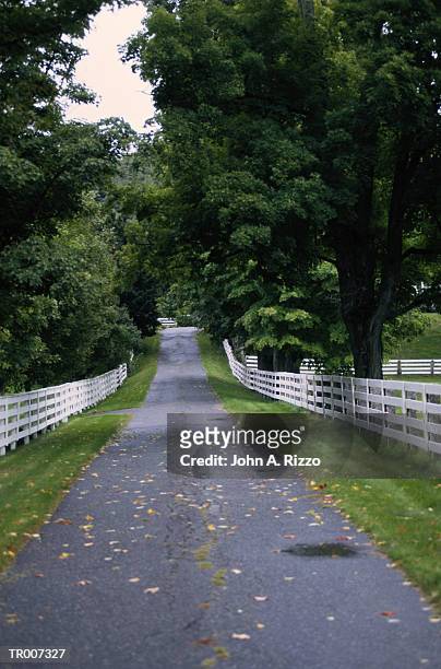 road in new england - los angeles missions end of summer block party time to enjoy being a kid stockfoto's en -beelden