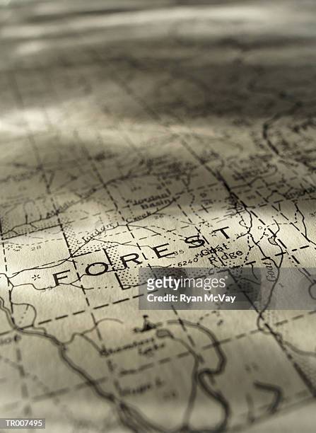 detail of a map of a forest - a stock pictures, royalty-free photos & images