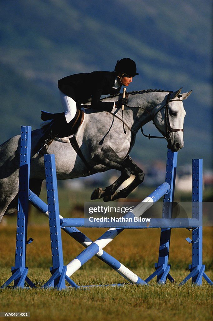 Show jumping, competitior clearing fence