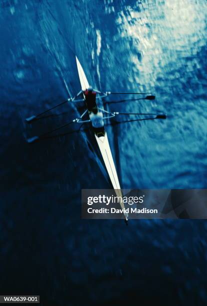 rowing, double scull on water, overhead view - sculling stock pictures, royalty-free photos & images