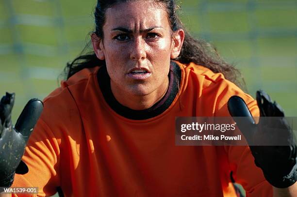 soccer, female goalkeeper - woman goalie stock pictures, royalty-free photos & images