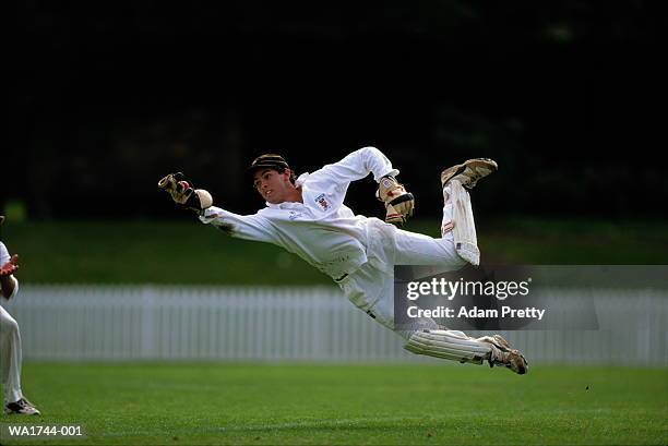 cricket match - cricket catch ストックフォトと画像