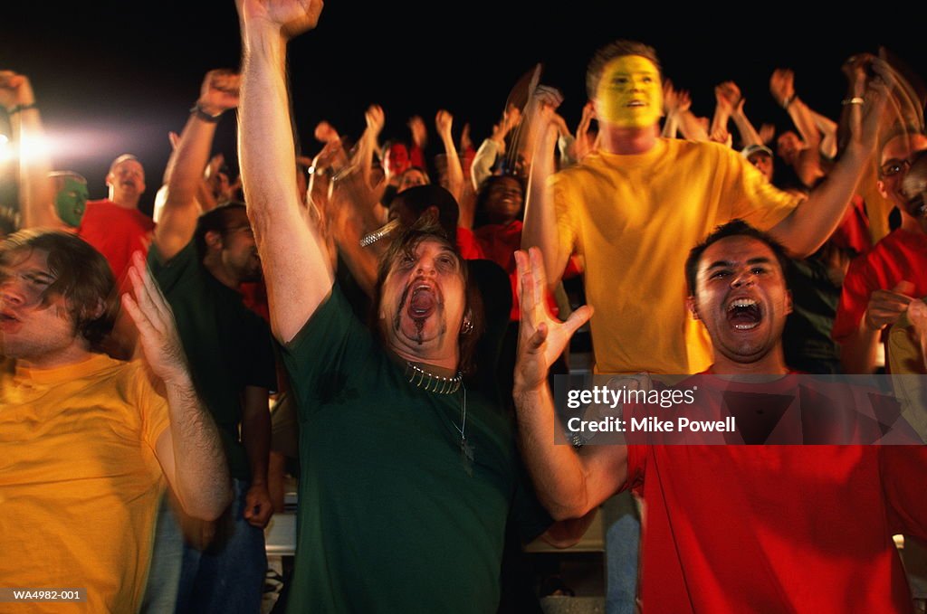Soccer fans cheering in stands
