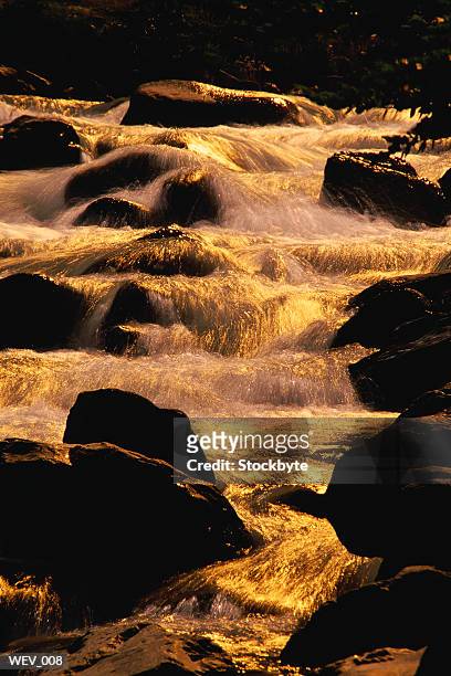 cascading water with boulders - official media preview for world premiere of king tut treasures of the golden pharaoh stockfoto's en -beelden