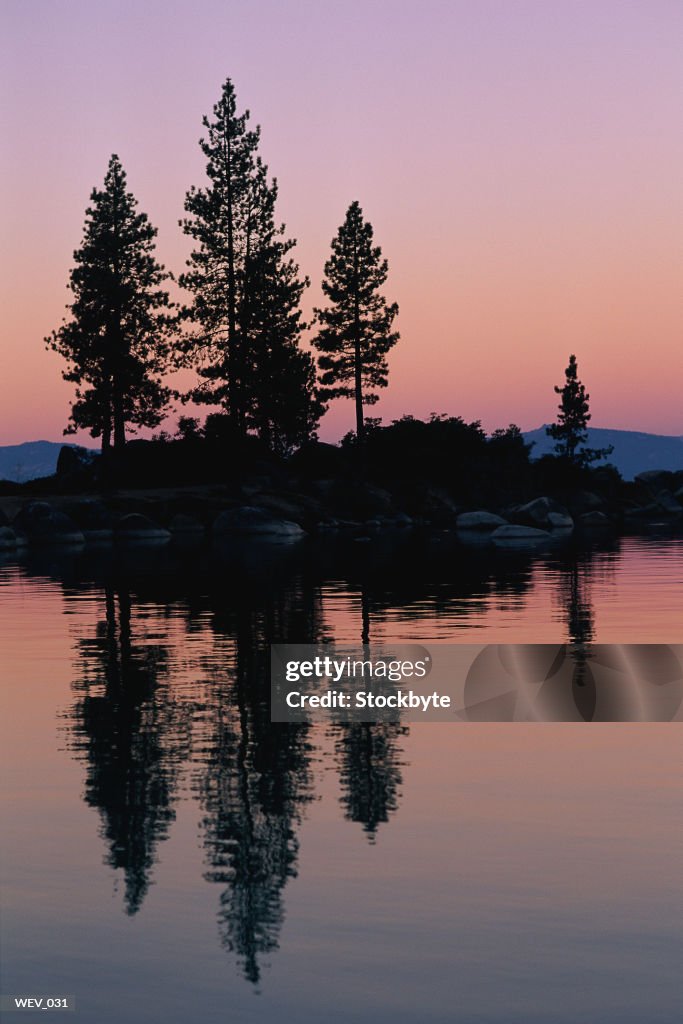 Silhouette of trees on small island in lake