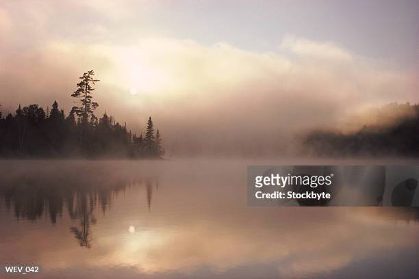 mist rising above lake, tree-lined shore in distance - pinaceae stockfoto's en -beelden
