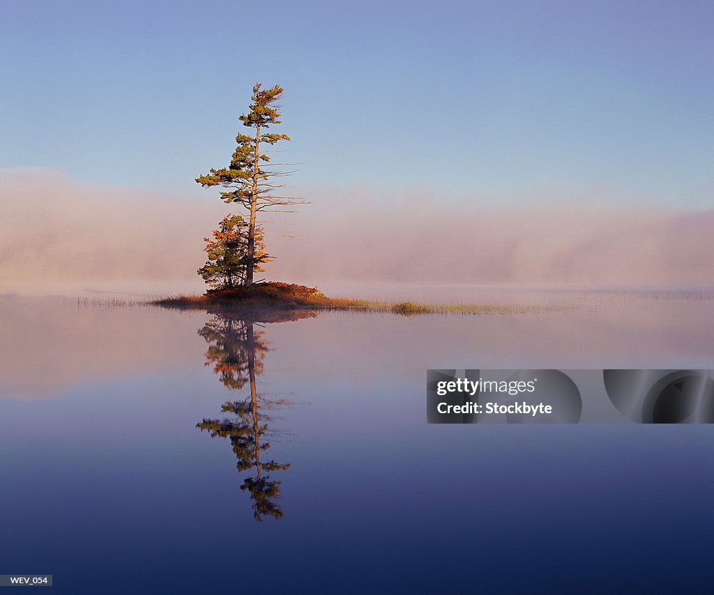 Lone tree on small island in lake