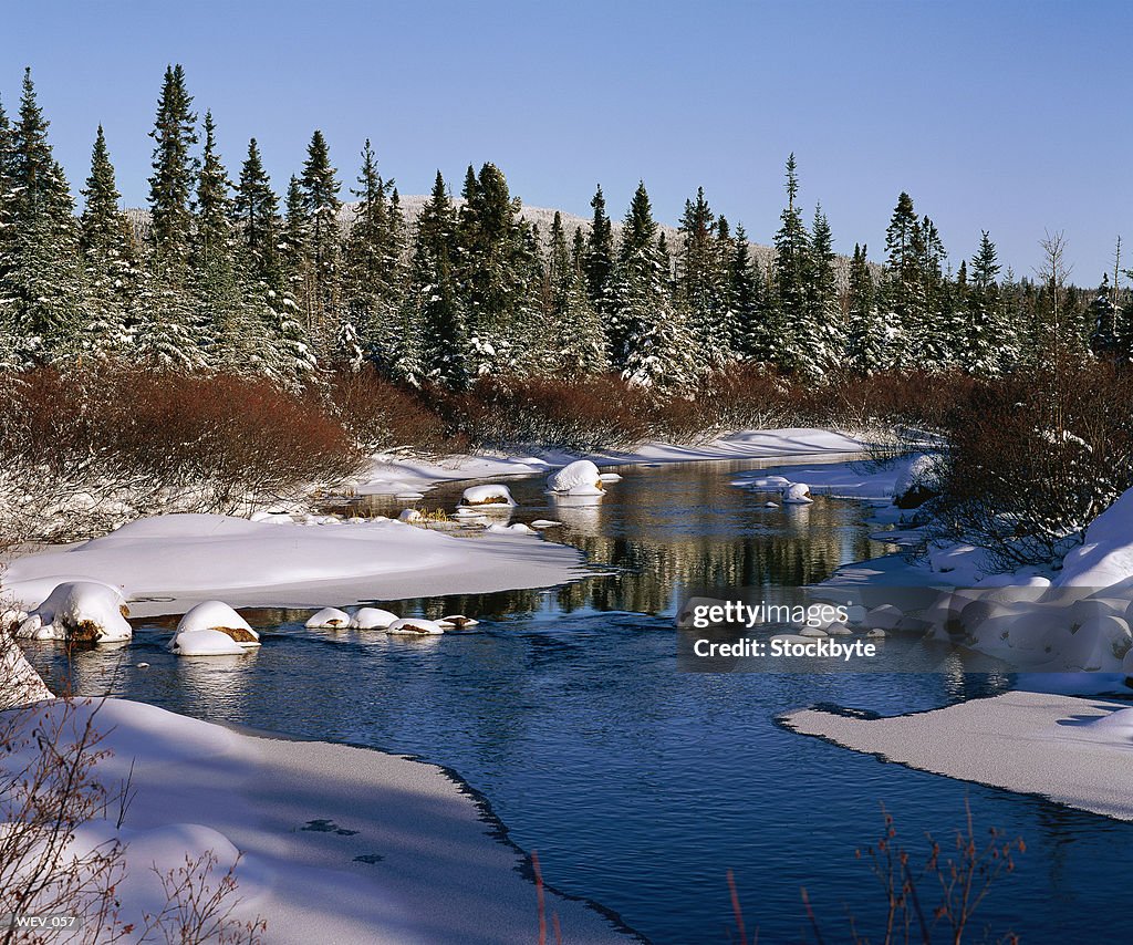 River with snow-covered banks and trees